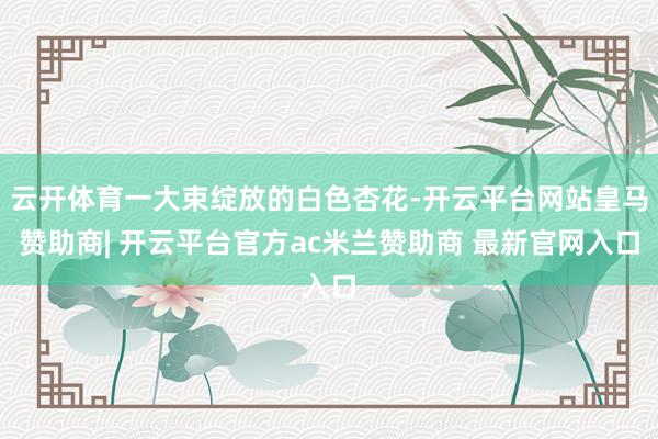 云开体育一大束绽放的白色杏花-开云平台网站皇马赞助商| 开云平台官方ac米兰赞助商 最新官网入口
